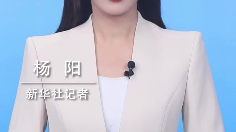 科技服务合同纠纷：案例分析及防范要点