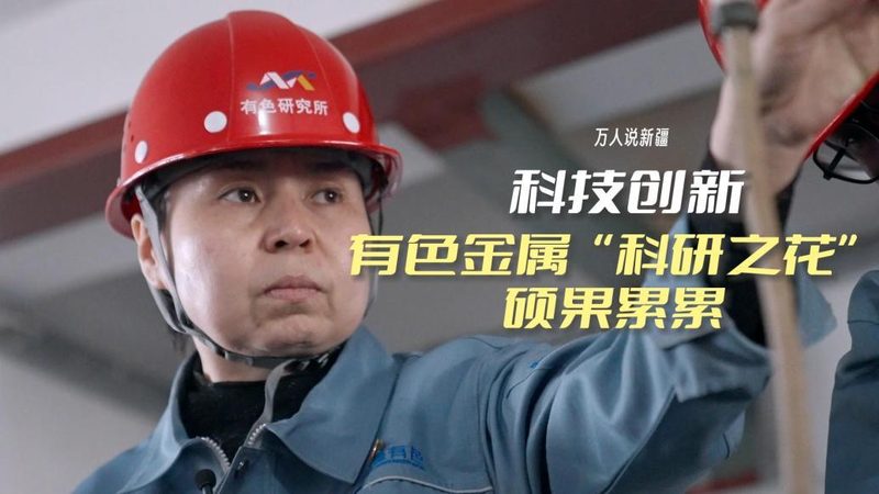 信息化建设与数字化转型：行业差异解析